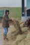 aLF1GmysTfHKscHV2VZDInhrosv